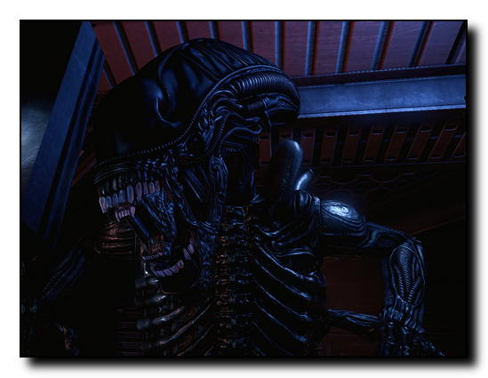 AvP